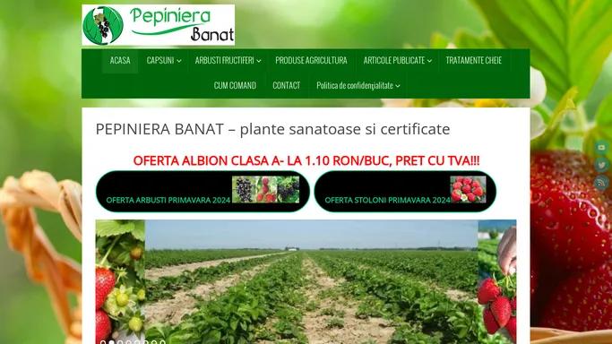 Pepiniera banat - plante sanatoase din pepiniere autorizate