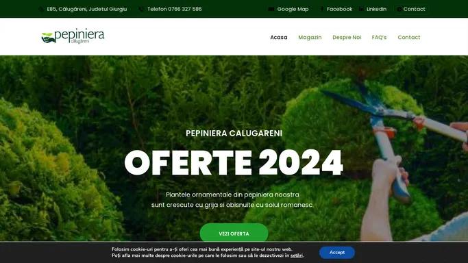 Pepiniera Calugareni iulie 2024 vanzari plante ornamentale