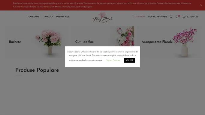 Pico Belo – Magazin online de flori