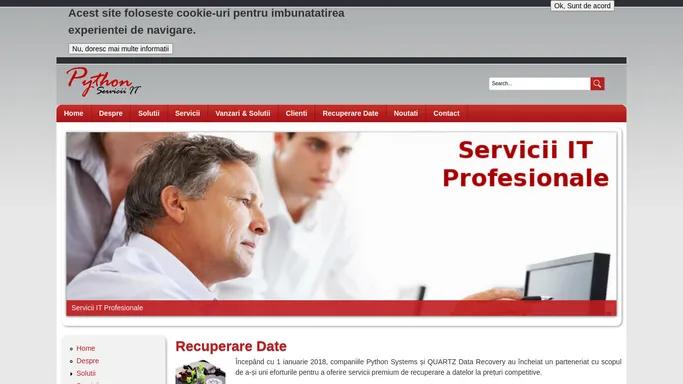 Piton Servicii IT | O solutie pentru fiecare