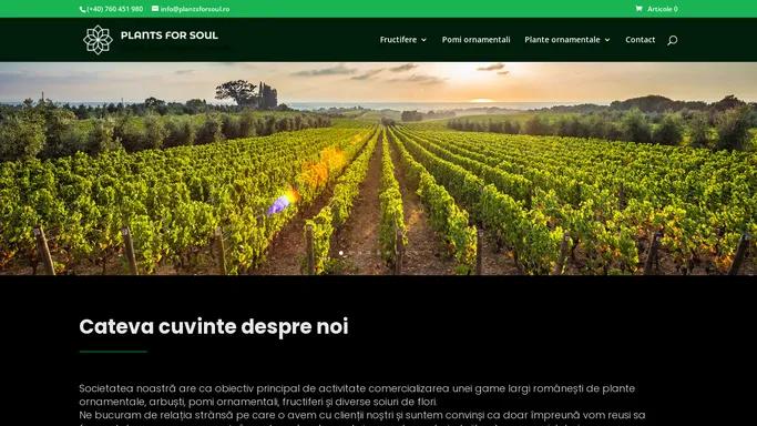 Plants For Soul | Plantele, bucuria naturii si a oamenilor.