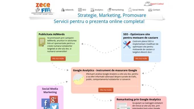 Promovare Google AdWords si optimizare site SEO - Marketing online