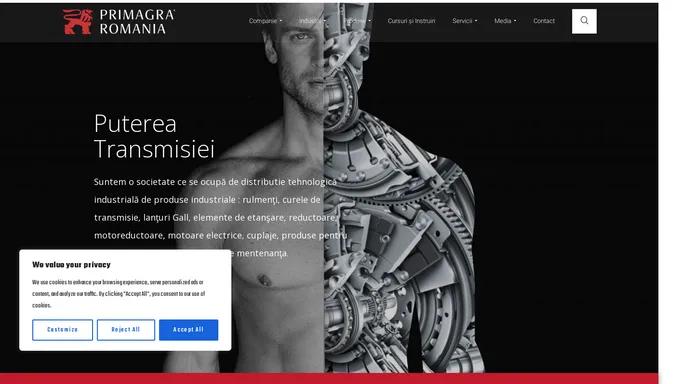 PRIMAGRA – Rulmenti, Curele, Simeringuri, Cuplaje, Reductoare, Lanturi