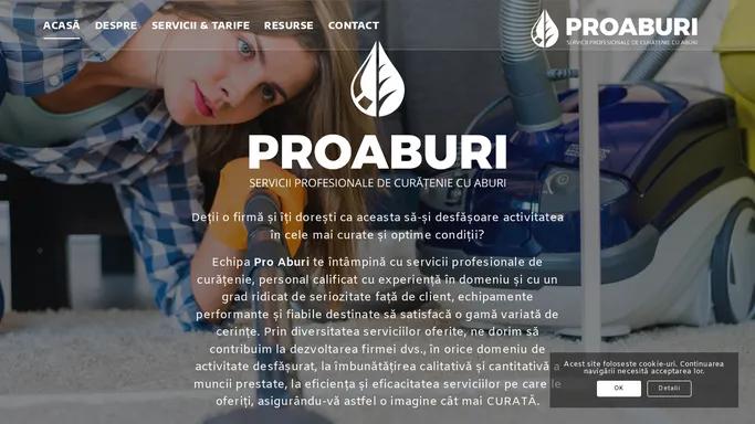 ProAburi | Servicii profesionale de curatenie cu aburi