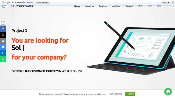 Project Data - ERP/CRM platforms, Online Store, Website