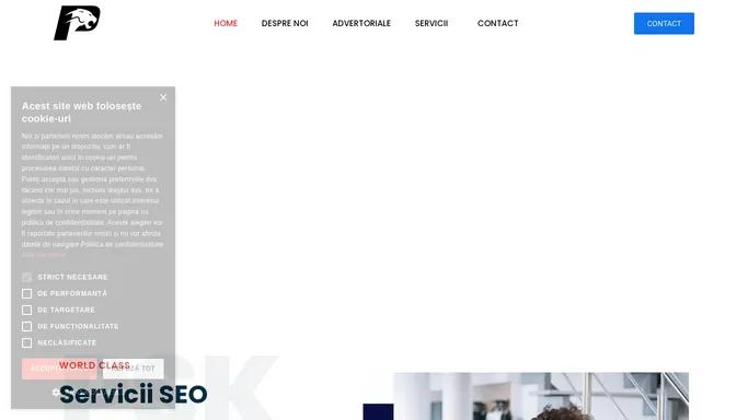 Agentie de publicitate online - Servicii SEO Bucuresti ⋆ PSK Solution