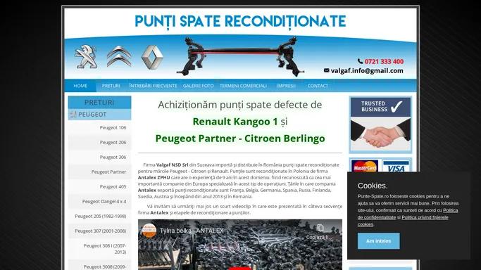 Punti spate Peugeot, Citroen, Renault - Import Polonia