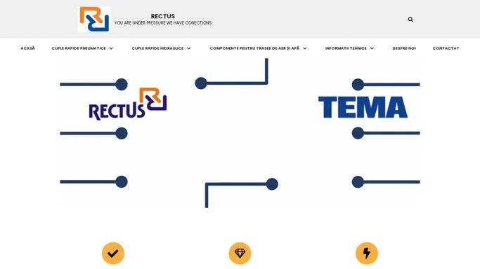 RECTUS – YOU ARE UNDER PRESSURE WE HAVE CONECTIONS