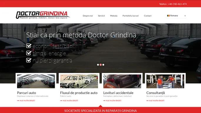 Doctor Grindina | Parcuri auto, Lovituri accidentale, Consultanta