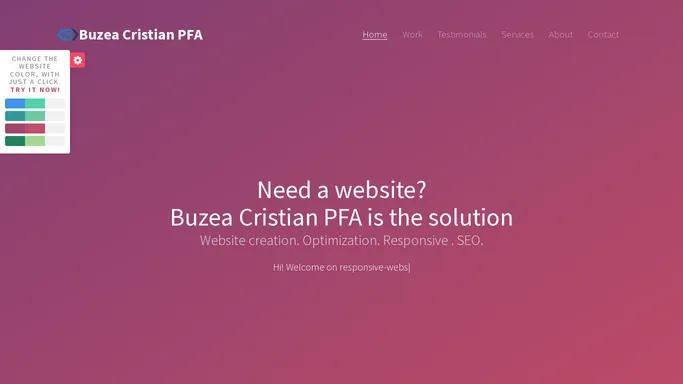 Buzea Cristian PFA - Web Developer|Responsive website|SEO