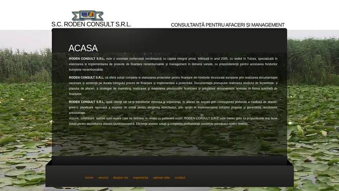 Roden Consult | Firma de consultanta proiecte de finantare | Roden Consult