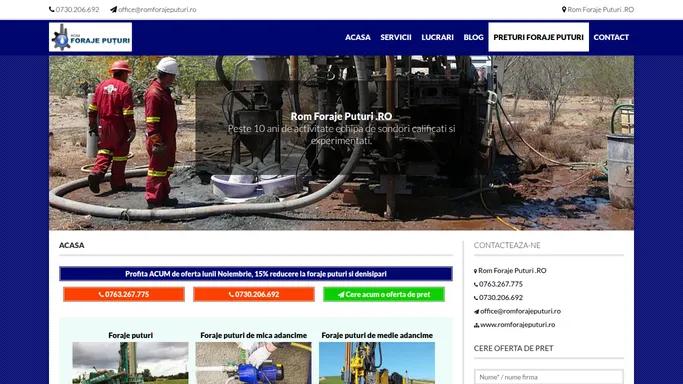 Foraje puturi apa | Denisipari puturi apa | Piloti forati