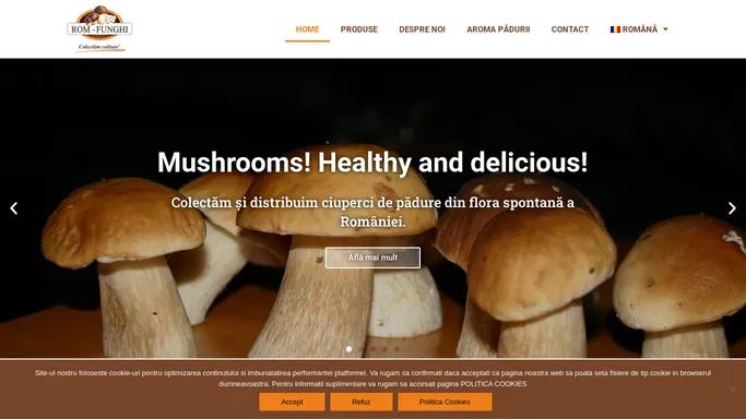 ROM FUNGHI Romania - Distribuitor ciuperci si fructe de padure