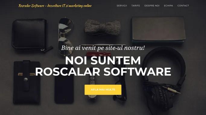 RoScalar Software - dezvoltare IT si marketing online