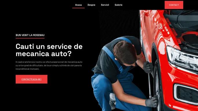 Rosenau – Cauti un service de mecanica auto?