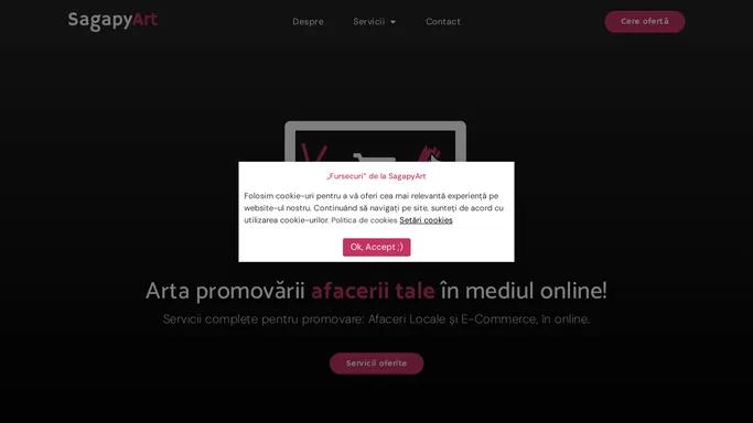 SagapyArt Agentie de Marketing Online – Arta promovarii cu succes!