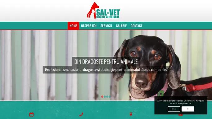 SAL-VET | Clinica Veterinara Timisoara