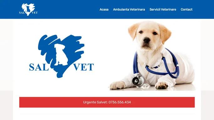 SalVet – Servicii Veterinare Pitesti si Arges