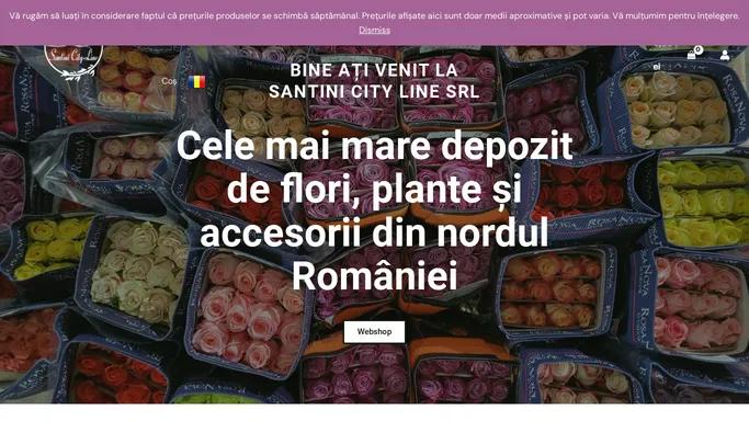 SANTINI CITY-LINE S.R.L. – Flori proaspete, plante si accesorii