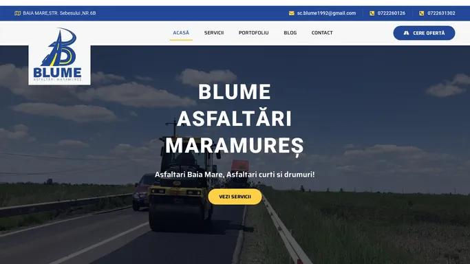 1 Asfaltari Baia Mare - reparatii drumuri, refacere trotuare