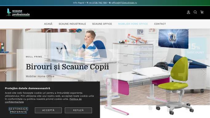 Scaune Profesionale de Birou (Office) si Lucru