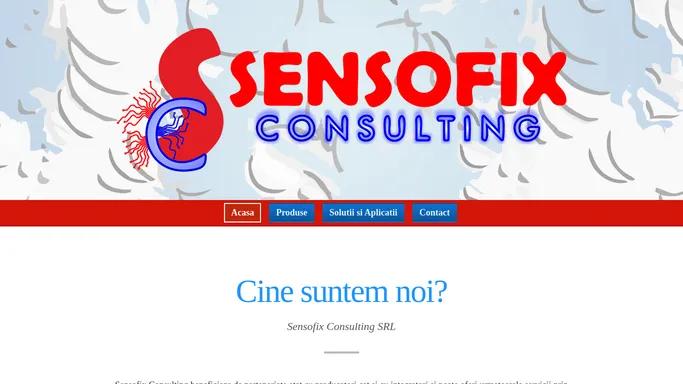 SENSOFIX CONSULTING