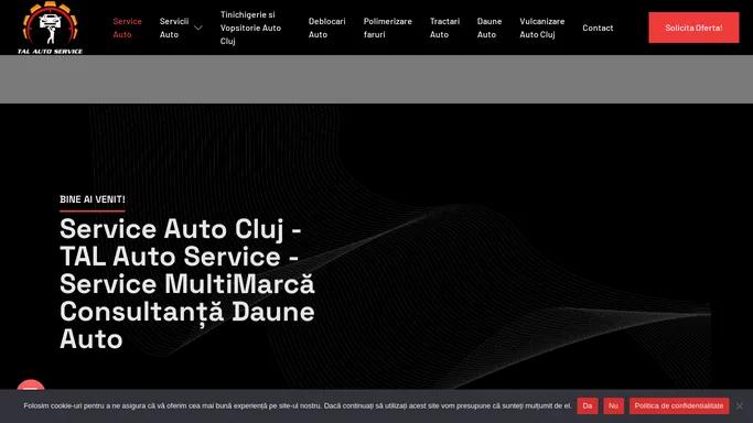 Service Auto Cluj » TAL Auto Service » Service MultiMarca