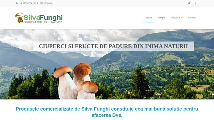 Silva Funghi | Prospetime din natura !