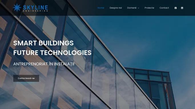 Skyline Engineering - ANTREPRENORIAT IN INSTALATII