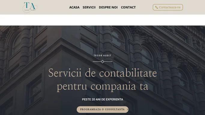 TECOR – Audit