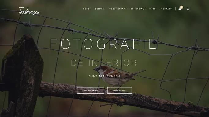 Fotografie documentara si comerciala | Teoderascu