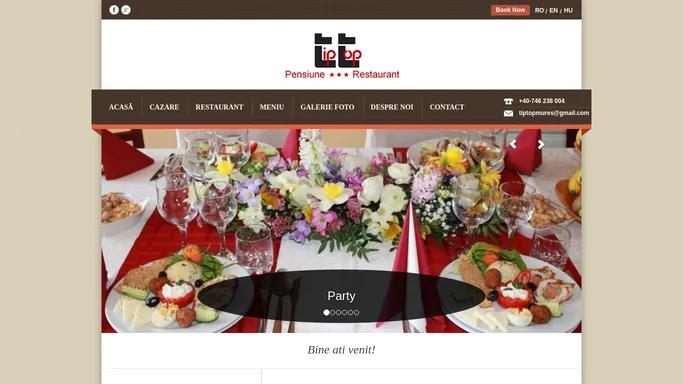 Pensiunea Tip-Top Mures | Pensiune – Restaurant