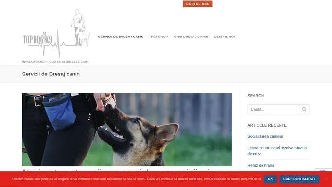 Dresaj canin TopDogK9 - dresajul cainelui cu un instructor dresor