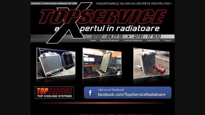 Topservice Reparatii Radiatoare