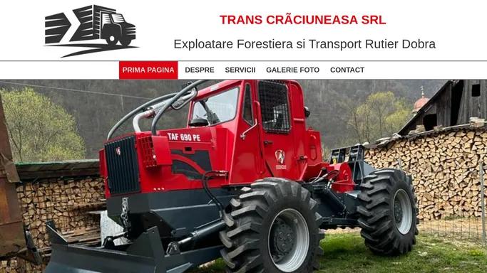 Exploatare Forestiera si Transport Rutier Dobra | TRANS CRACIUNEASA |