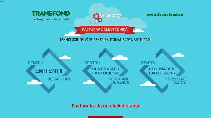 Facturi Electronice