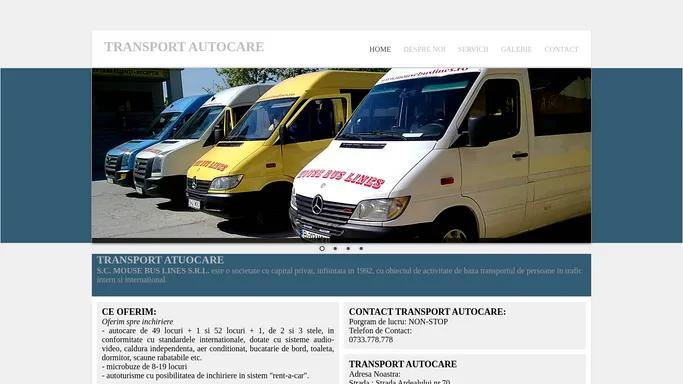 Transport Autocare - Servicii de transport, transport autocare, inchiriere transport