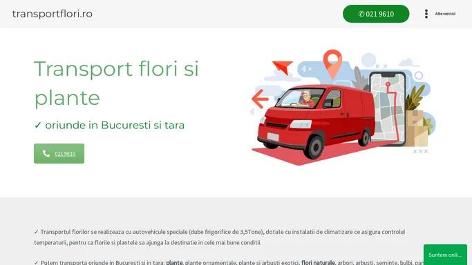 transportflori.ro – Transport flori cu autoutilitare speciale