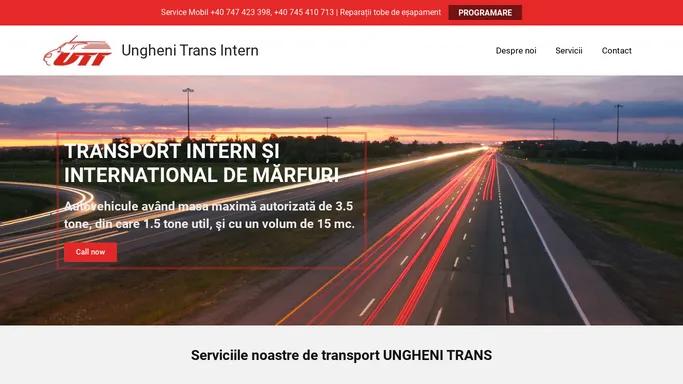 Ungheni Trans Intern – Transport international