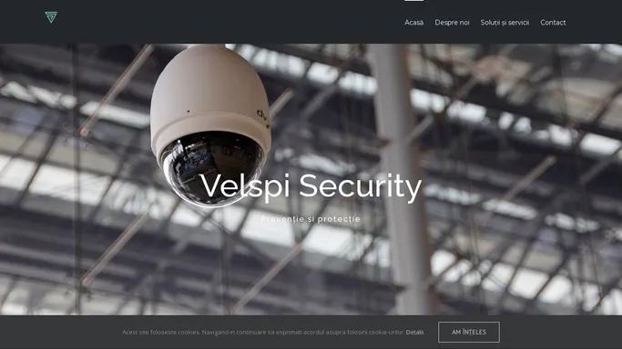 Sisteme de supraveghere video - Velspi Security