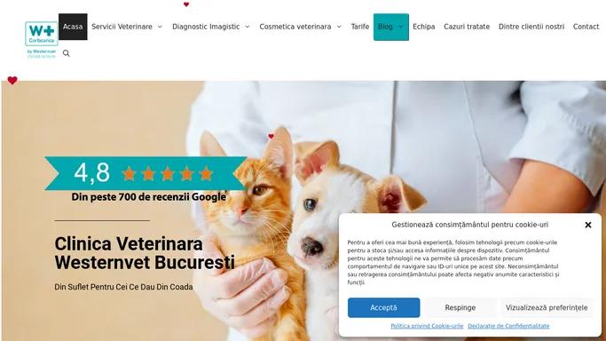 Clinica Veterinara Westernvet Bucuresti / Ilfov - Westernvet