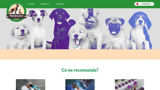 Vet Doctor Pets – Veterinar Sibiu