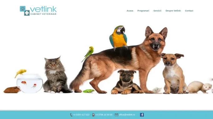 Servicii cabinet veterinar Vetlink Resita