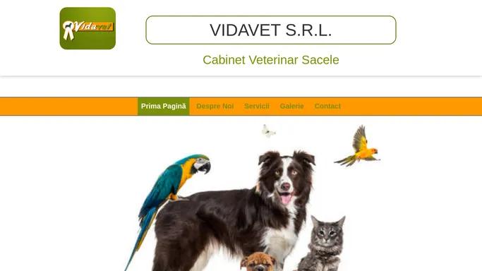 ​​​​​​​Cabinet Veterinar Sacele | VIDAVET S.R.L. | Judetul Brasov