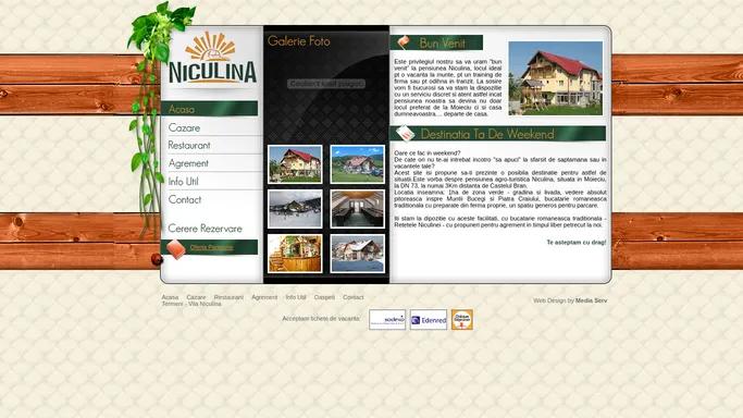 Pensiune Vila Niculina - Bran-Moeciu, Cazare pensiuni Moieciu, agro-turism bran, restaurant agrement rural brasov, turism montan, vacanta de munte, training, team building, bucatarie romaneasca traditionala