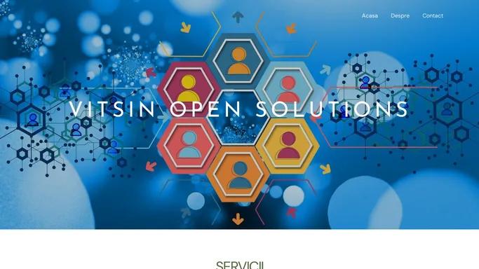 VITSIN OPEN SOLUTIONS