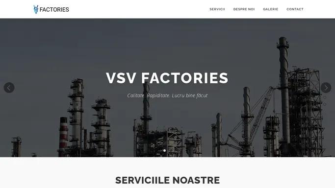 VSV Factories – Profesionalism