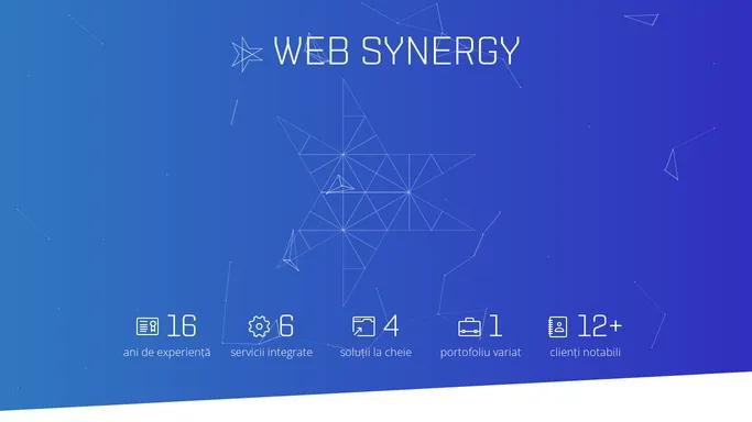 WebSynergy - Servicii web development