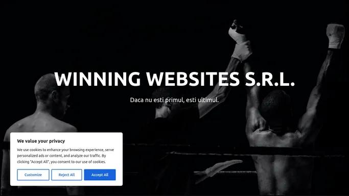 Winning Websites S.R.L. pentru firme mici si mijlocii.