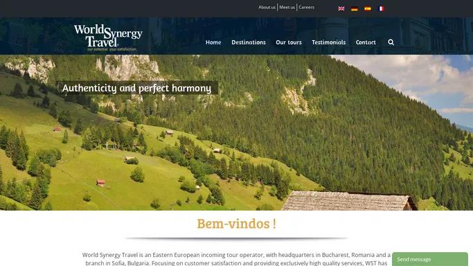 World Synergy Travel
